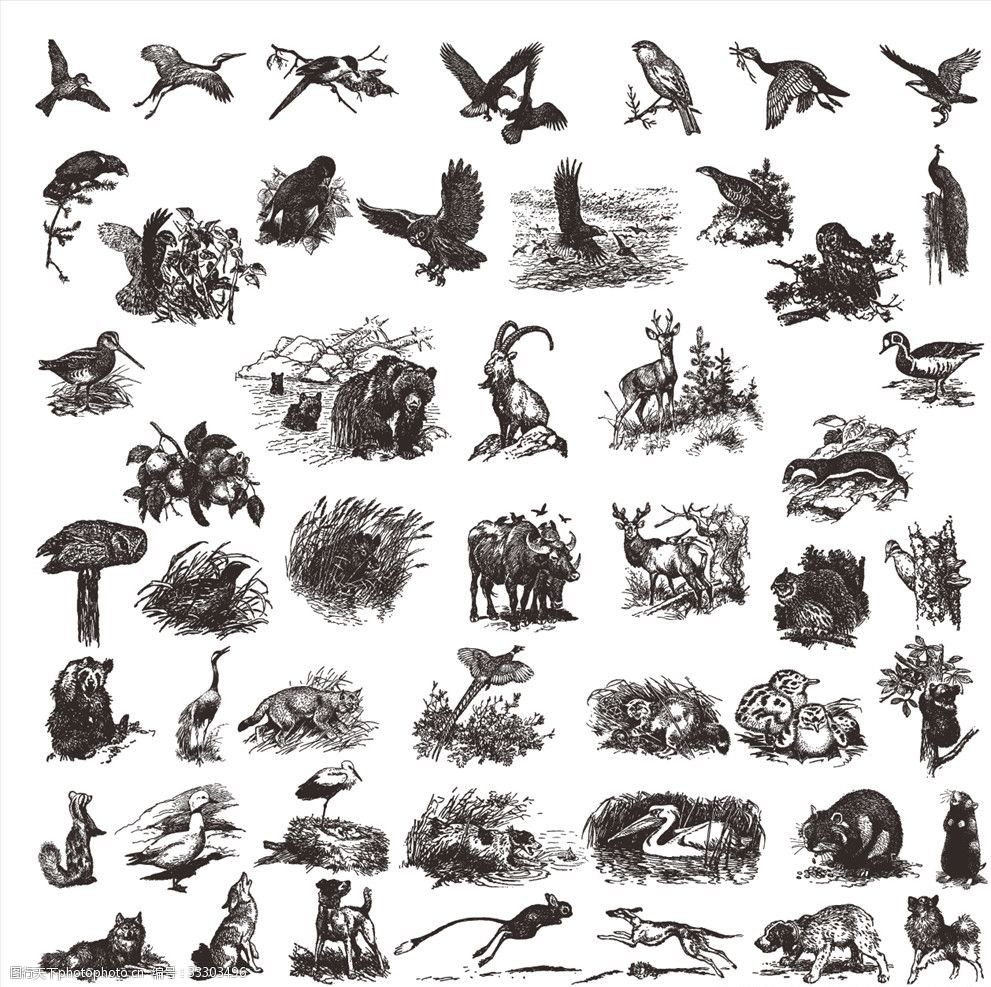 黑白素描动物图案图片